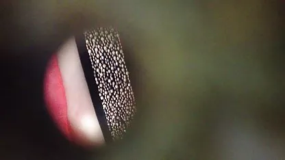 امام جمعه دانلودسکس پورن